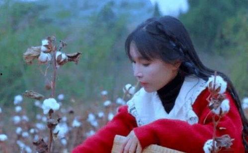 李子柒被爆料假吃视频  第1张