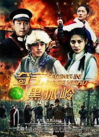 在线观看黑狐,暗影特工的隐秘使命 第2张 在线观看黑狐,暗影特工的隐秘使命 第2张